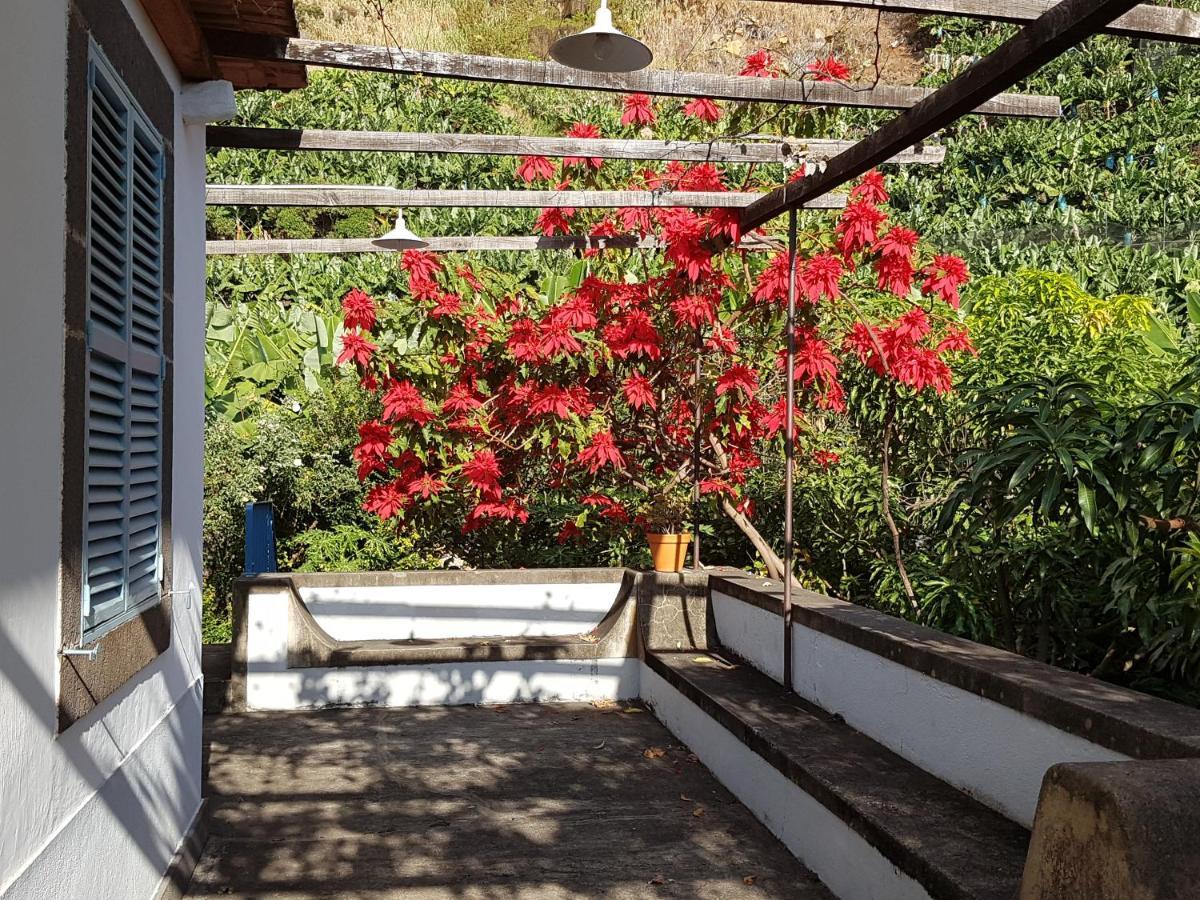 Casa Da Madalena Do Mar Villa Ngoại thất bức ảnh