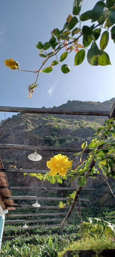 Casa Da Madalena Do Mar Villa Ngoại thất bức ảnh